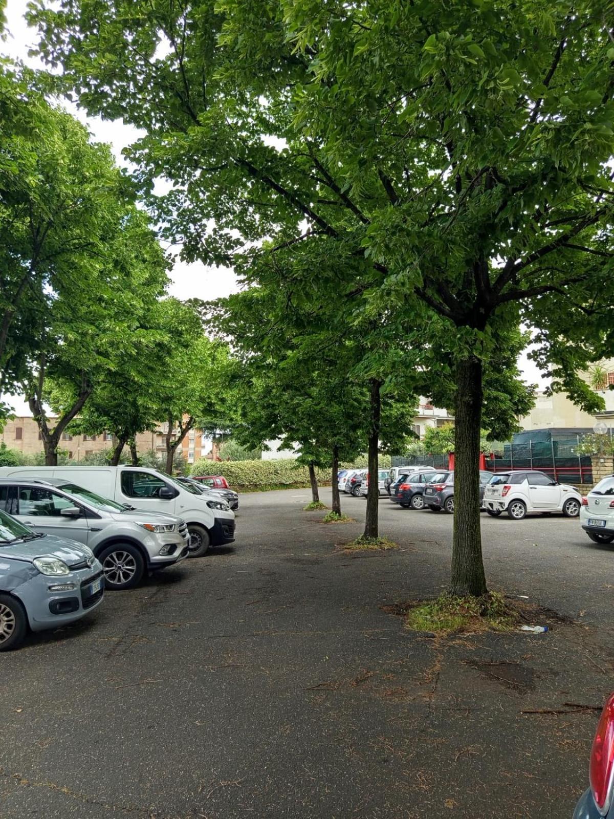 Apartament La Casa Di Ada Tivoli Zewnętrze zdjęcie